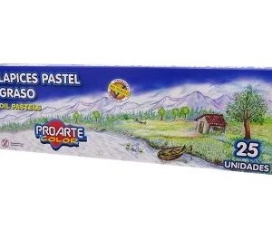 Pastel Graso 25 Colores Proarte